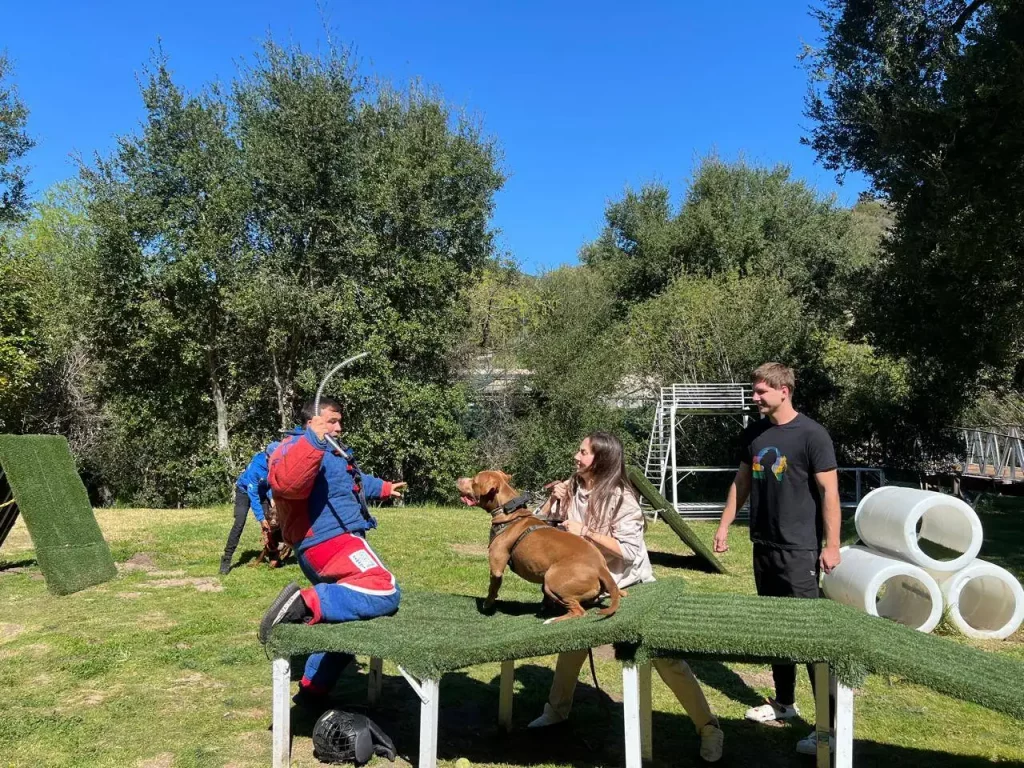 family dog0424