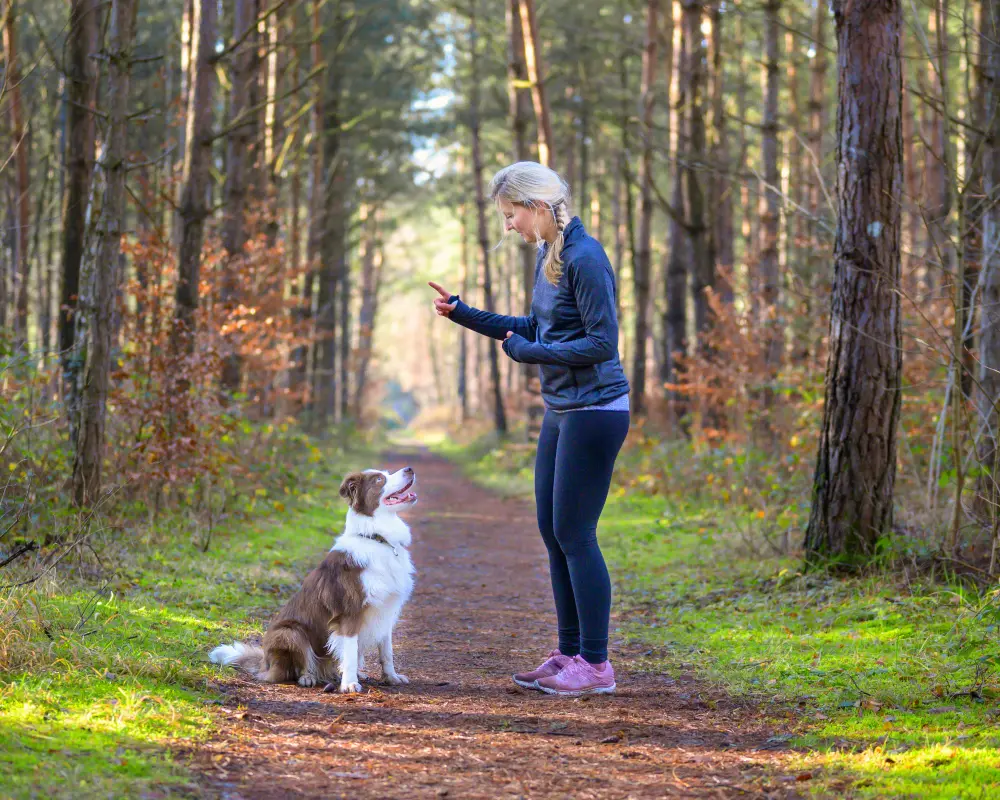Dog trainer outdoors comparing local dog training versus online training in Los Angeles